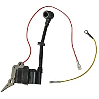 JRL MÓDULO DE BOBINA DE ENCENDIDO para adaptarse a motosierras chinas 2500 25 cc TIMBERPRO Lawflite CARLTON